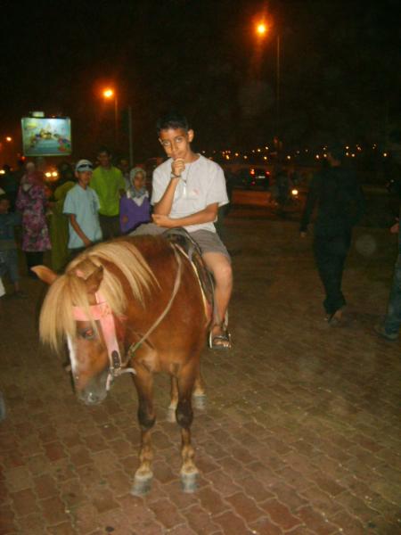 moi dans le cheval